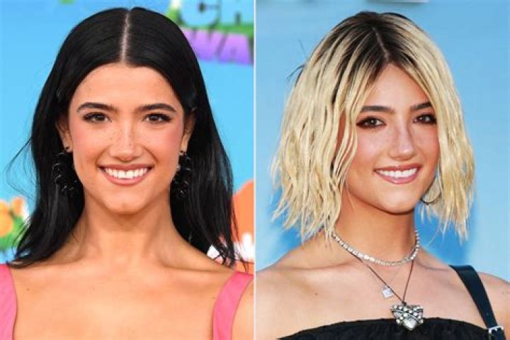 Charli D'Amelio Debuts New Hair After Haters Said She Looked Better "Last Year" 