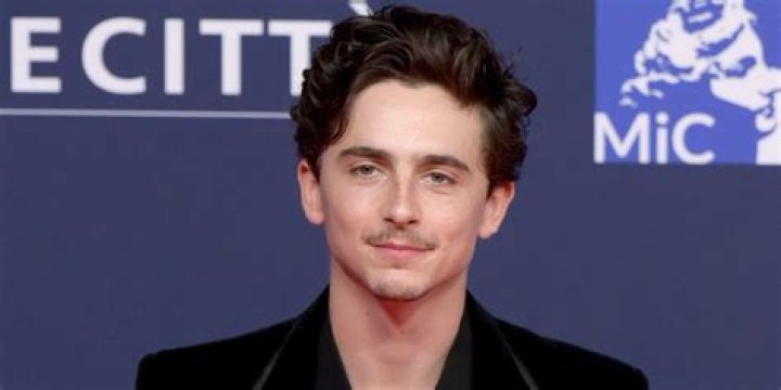 Is Timothée Chalamet's 'Wonka' a Musical? What We Know About the Film
