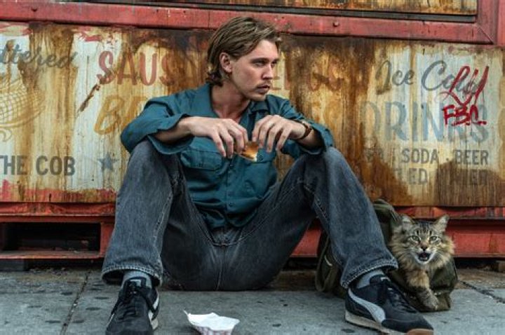 Logan Paul Caught Stealing Adobe Stock Images for His NFT Scheme