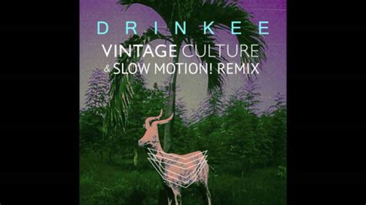 Lyrics & Translations of Slow Down [Vintage Culture & Slow Motion Remix] by Maverick Sabre