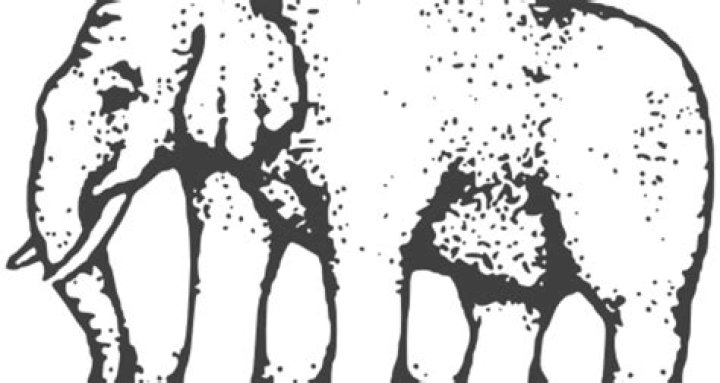 Meet Steve Lai Wife Wei Wei, 2 Daughters And Family