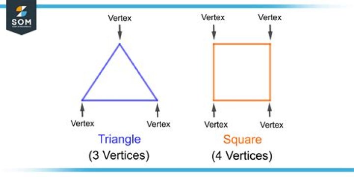 vertices